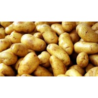 Irish  Potatoes